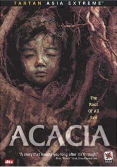 Acacia 2003
