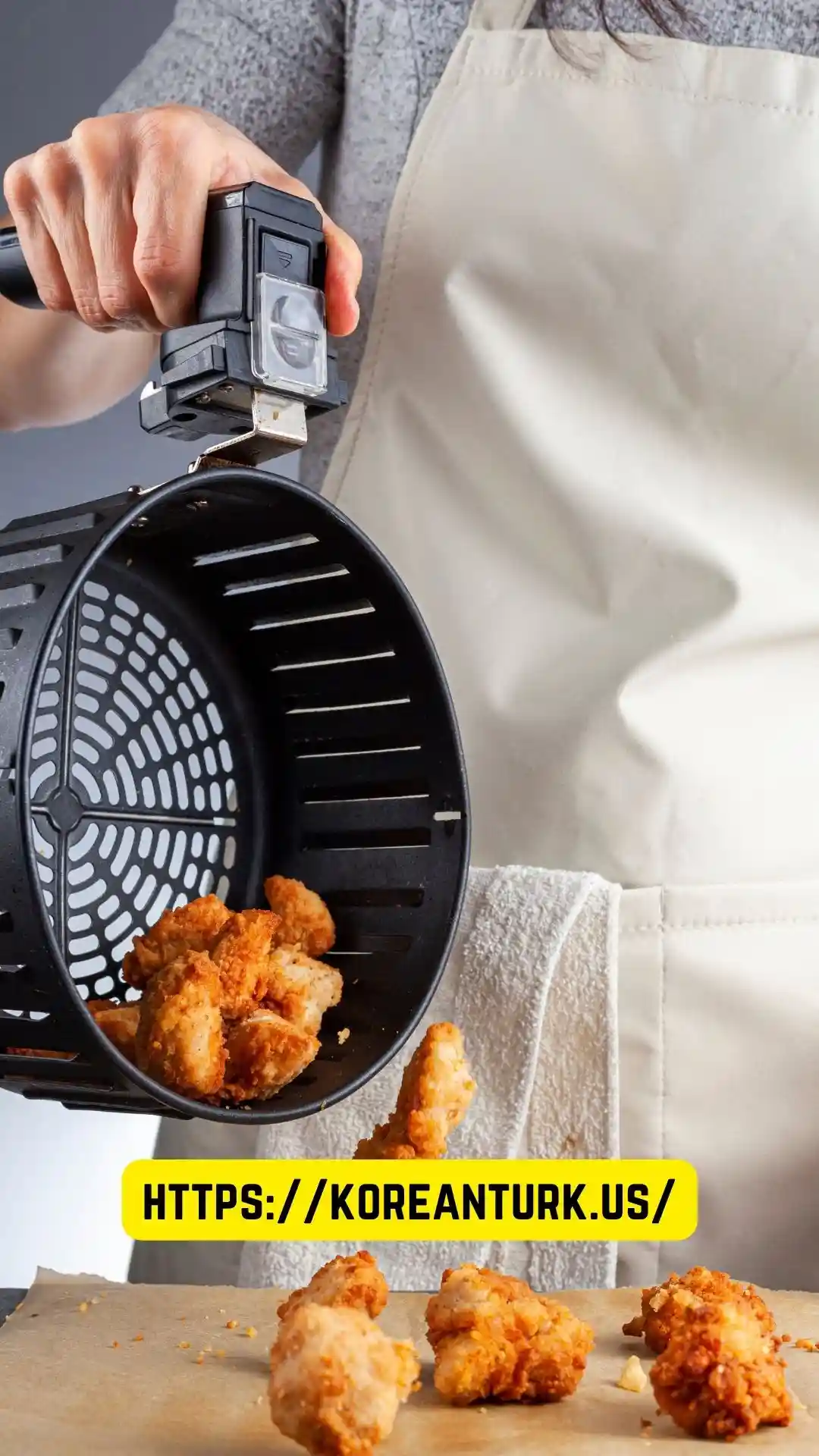 Dry Rub Air Fryer Chicken Wings Recipe